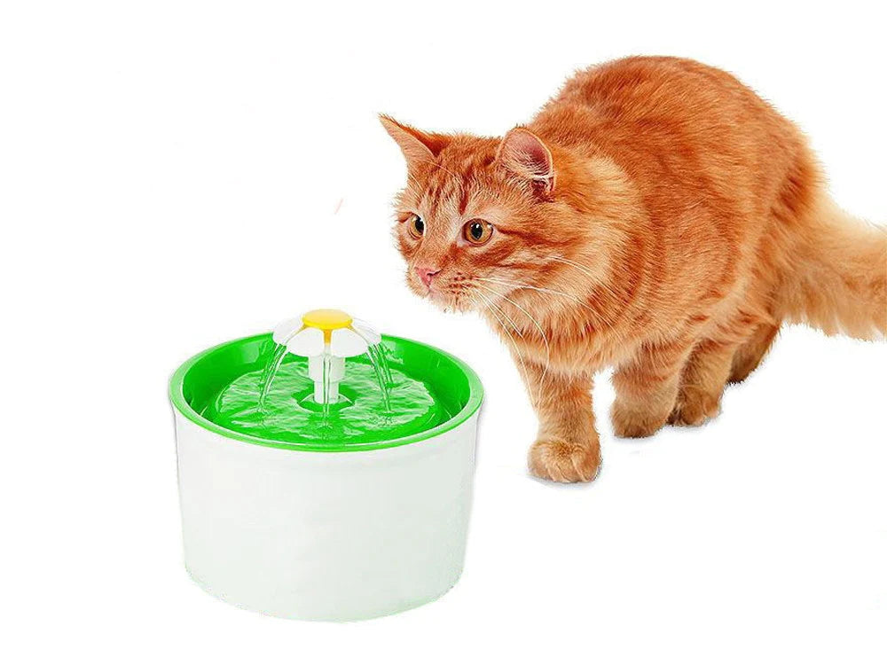 Choosing the Right Pet Water Fountain for Your Furry Friend – Homemart