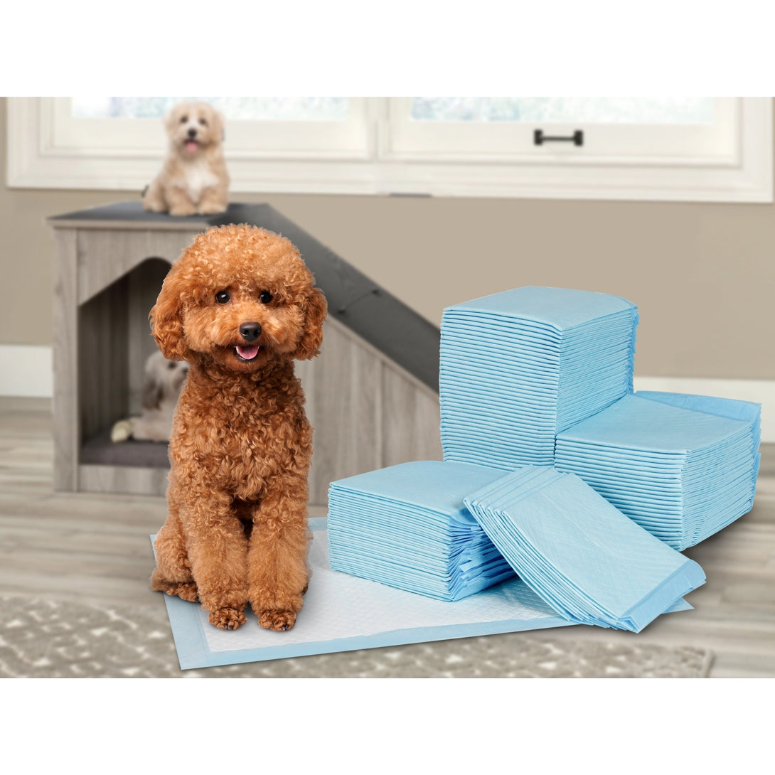 Puppy Training Pad - Set of 100 - S