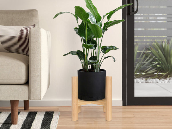 Parrot Wooden Plant Stand - Oak