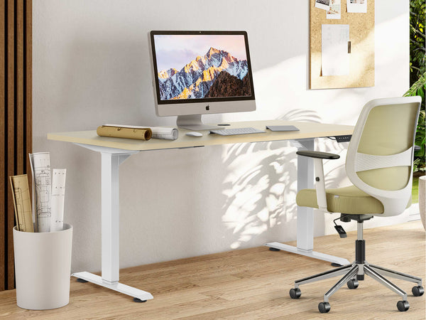 BENNIE 160CM Dual Motor Electric Standing Desk - BEIGE