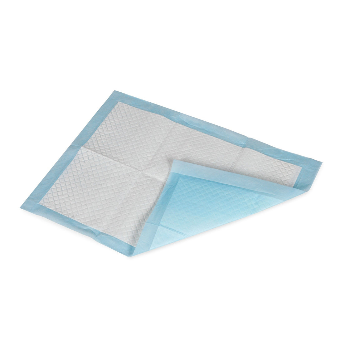 Puppy Training Pad - Set of 100 - S