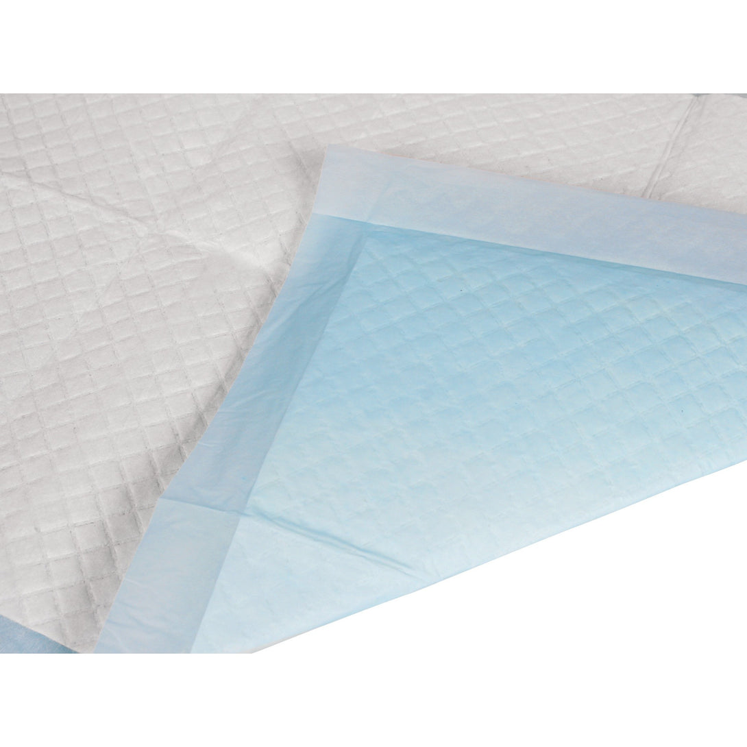 Puppy Training Pad - Set of 100 - S