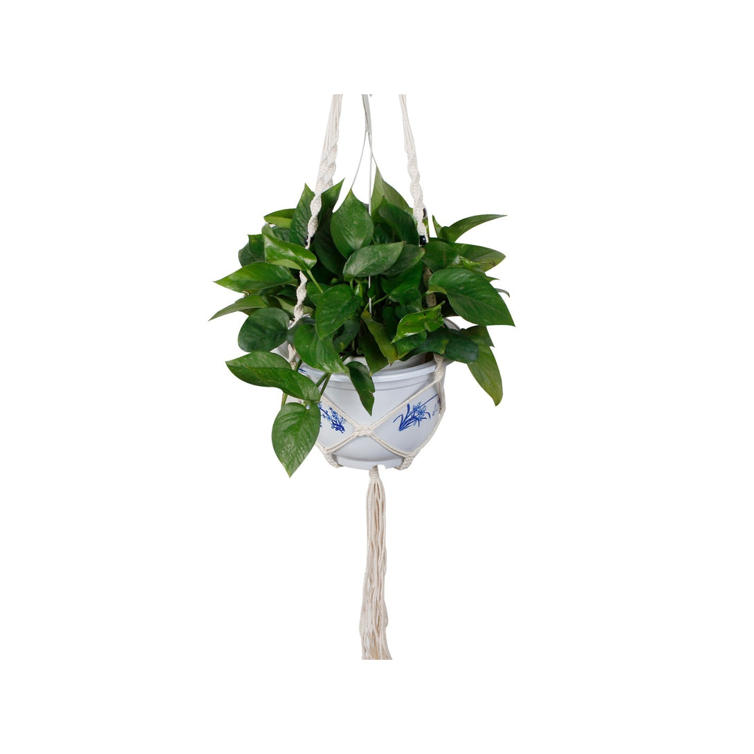 Mecrame Rope Plant Hanger Indoor Pot Plant Hanger