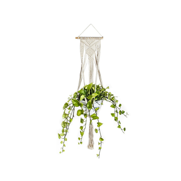 Hessian Macrame Rope Macrame Plant Hanger Macrame Pot Hanger - Braids