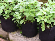 Fabric Pot Planter Grow Bags with Handles 5pcs