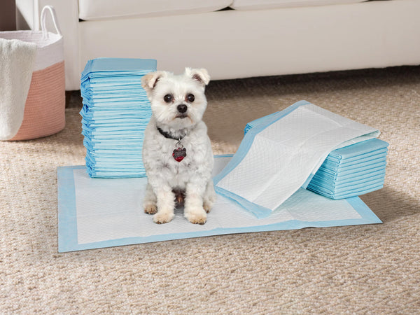 Pet Dog Puppy Training Pad 20pcs - XL