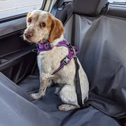 Nylon Dog Car Seatbelt