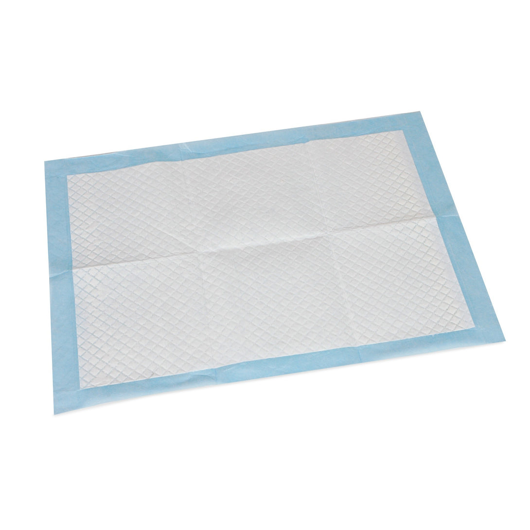 Puppy Training Pad - Set of 100 - S
