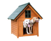 Dog Runs and Kennel