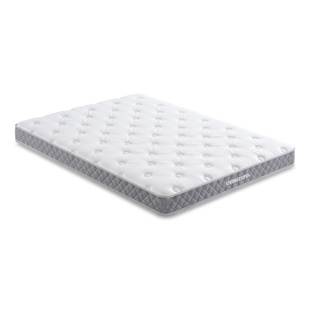 LivingTopia DreamNest Classic Queen Mattress