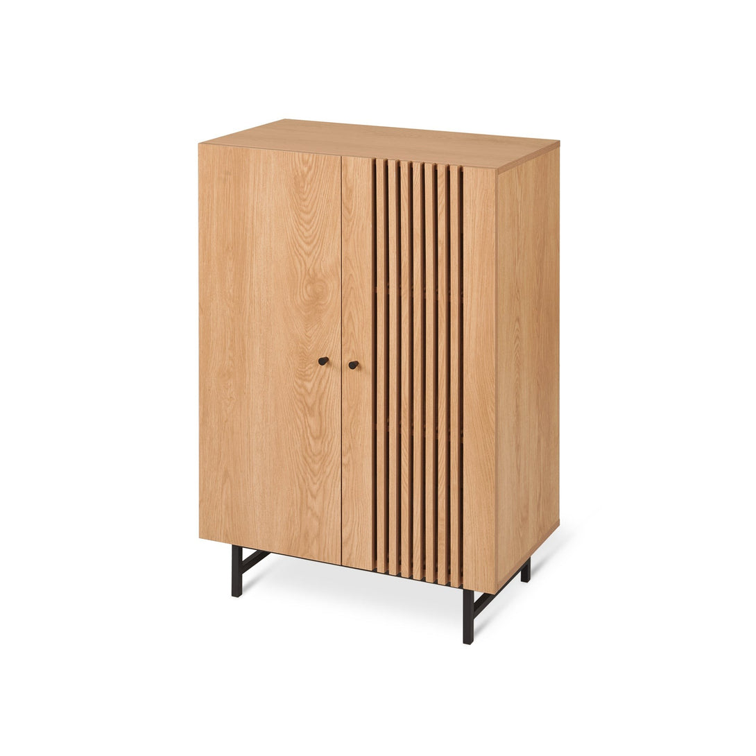 Tarkine 2 Door Cabinet - Oak