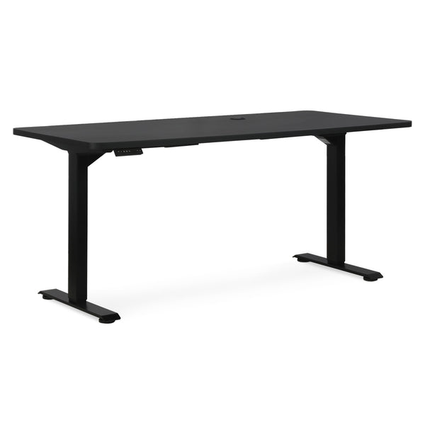 Bennie 160cm Dual Motor Electric Standing Desk - Black