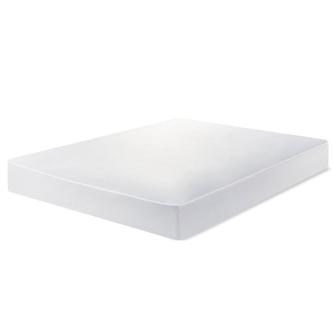 Basics Plus Mattress with Mattress Protector & 2 Pillows - Queen