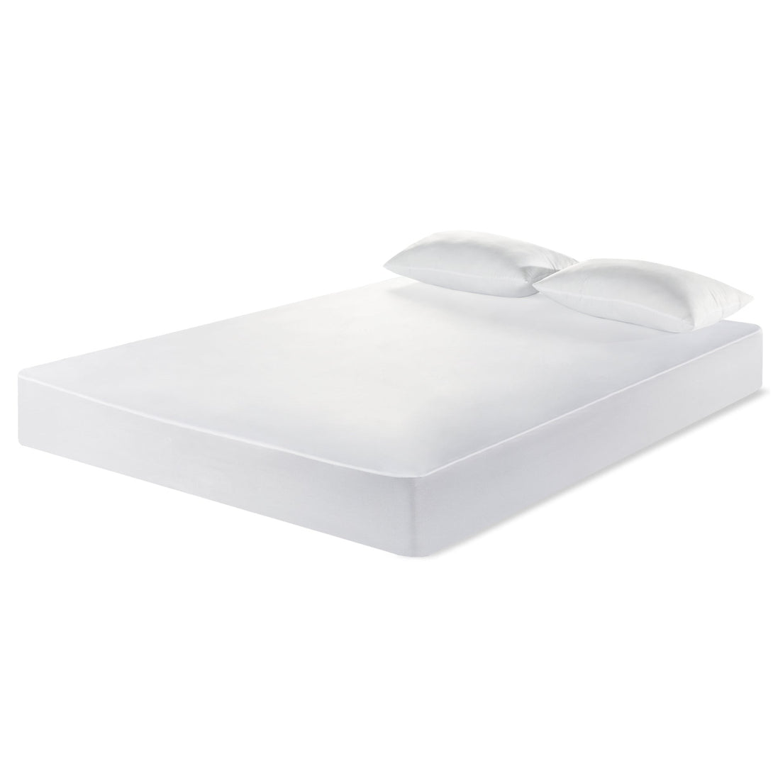 Basics Plus Mattress with Mattress Protector & 2 Pillows - Queen