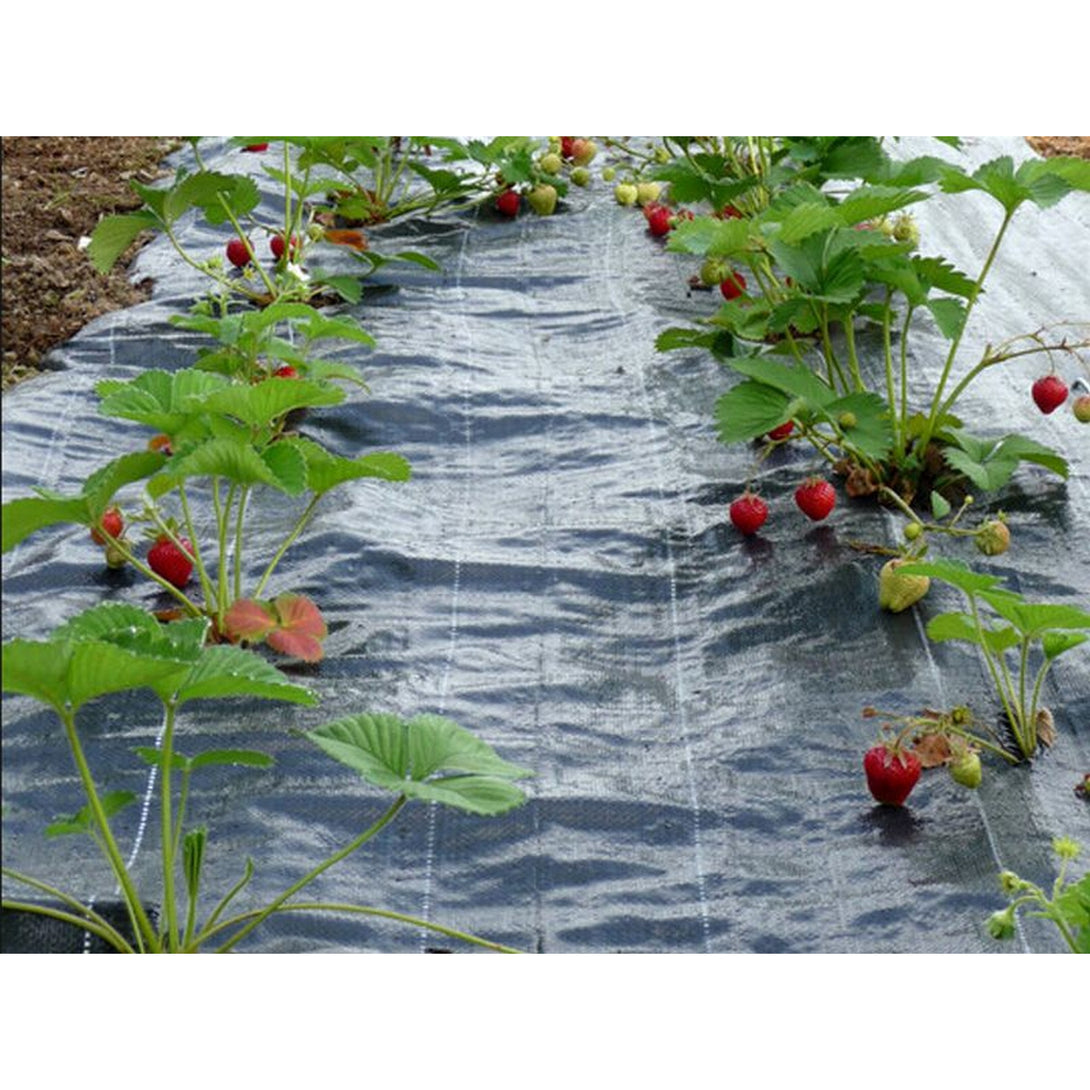 Weed Mat 2m x 50m