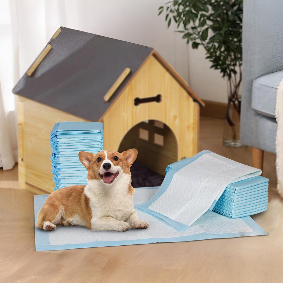 Pet Dog Puppy Training Pad - Set of 40 - L