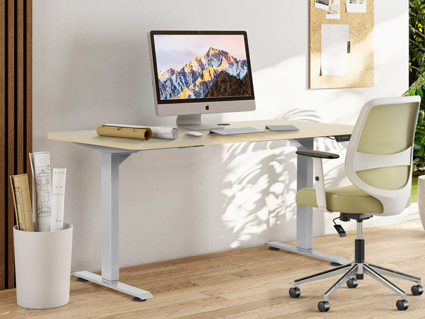 BENNIE 160CM Dual Motor Electric Standing Desk - BEIGE