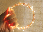 2.2M Fairy Lights Wire Seed LED WARM WHITE x 4