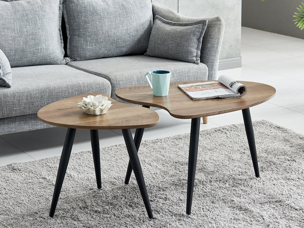 SKYLAR Coffee Table Nest of Table Side Table 2 PCS