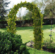 Garden Arch Archway - 2.4m (0.005m3 - 1.7kg)