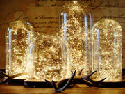 2.2M Fairy Lights Wire Seed LED WARM WHITE x 4
