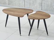 SKYLAR Coffee Table Nest of Table Side Table 2 PCS