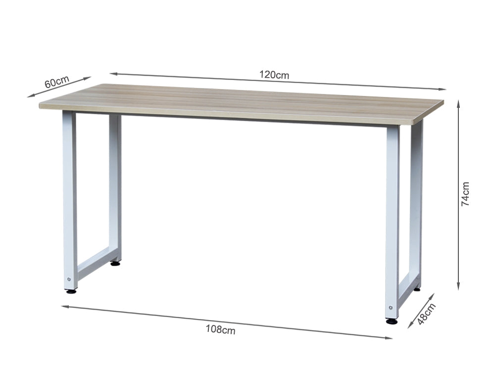 RYLEE 120cm Computer Desk - WHITE