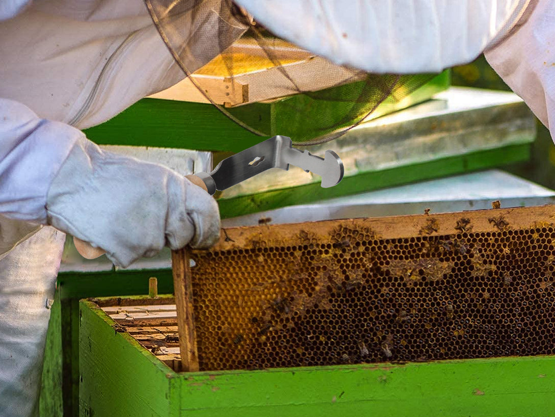 Beekeeping Tool Hive Frame Cleaning