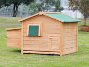 BINGO Chicken Coop with Nesting Box and Perch